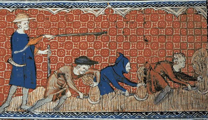 Reeves and serfs harvesting.