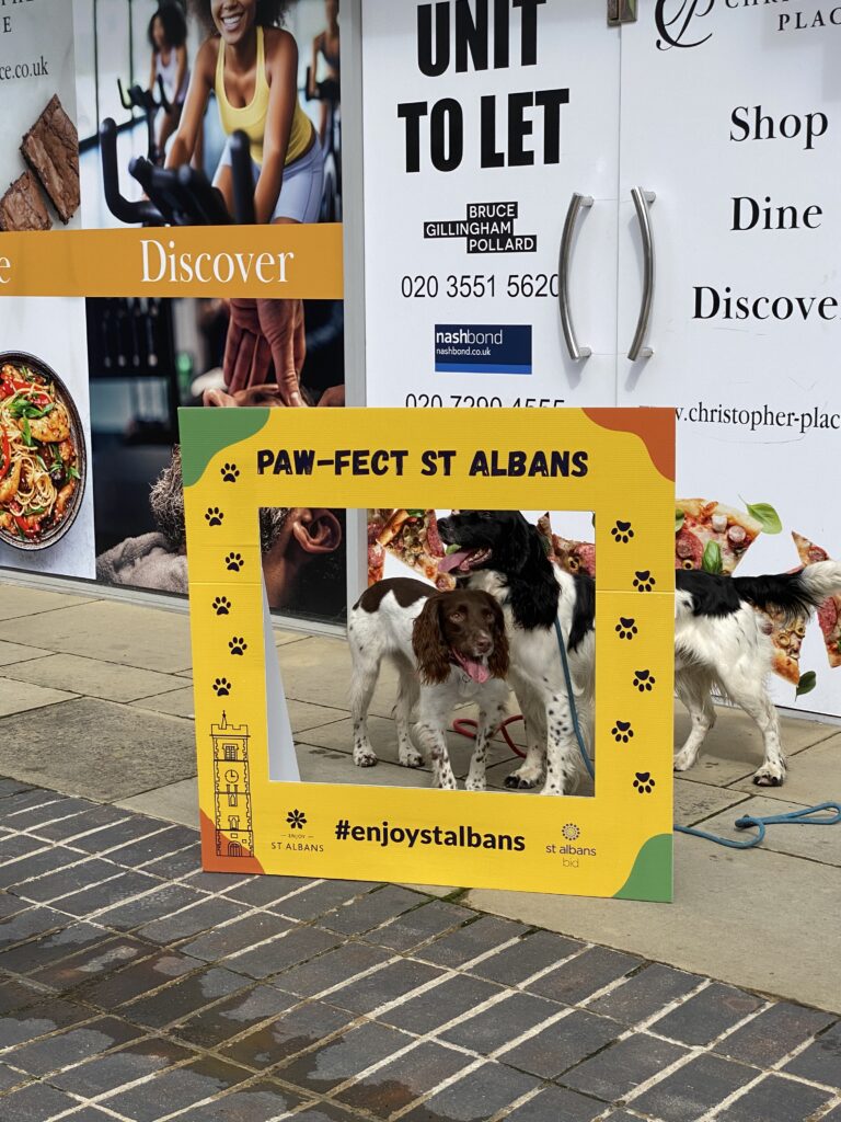 St Albans Dog Day 2024. Photo: St Albans BID