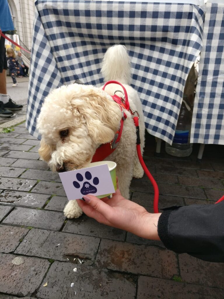 St Albans Dog Day 2024. Photo: St Albans BID