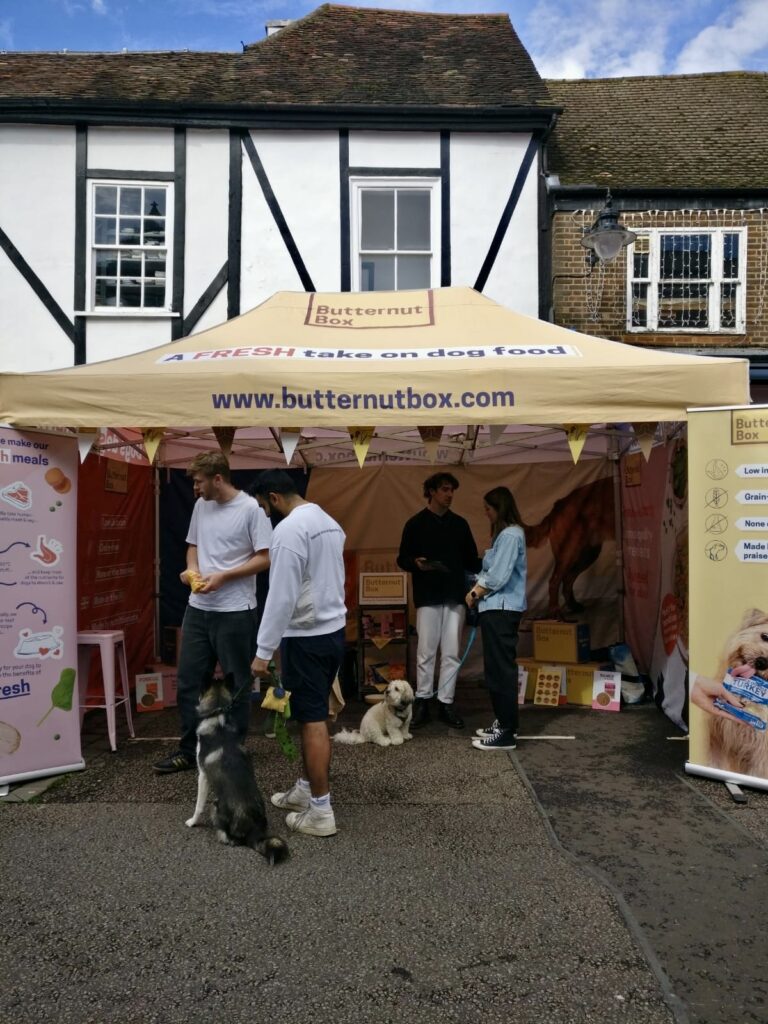 St Albans Dog Day 2024. Photo: St Albans BID