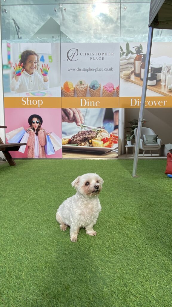 St Albans Dog Day 2024. Photo: St Albans BID
