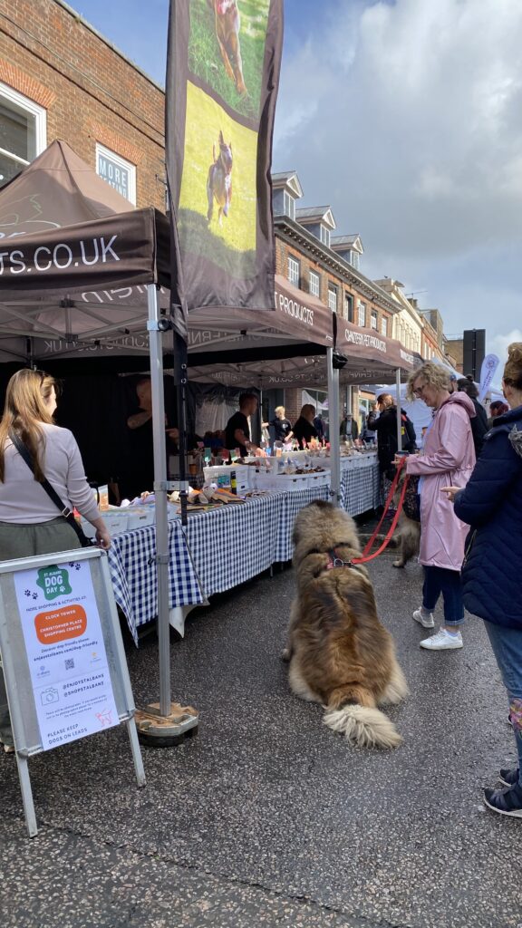 St Albans Dog Day 2024. Photo: St Albans BID