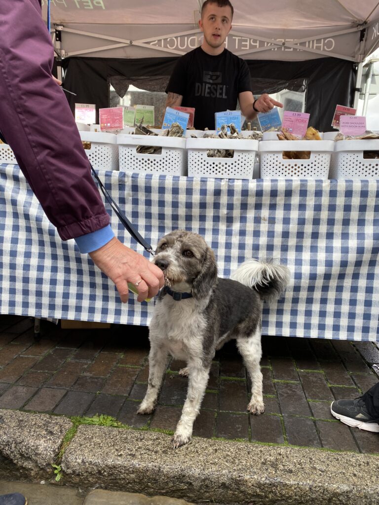 St Albans Dog Day 2024. Photo: St Albans BID