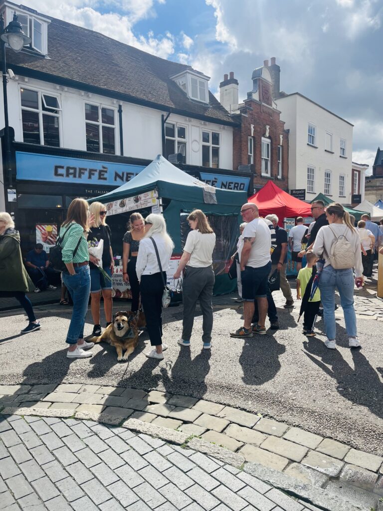 St Albans Dog Day 2024. Photo: St Albans BID