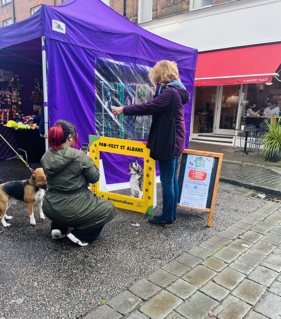 St Albans Dog Day 2024. Photo: St Albans BID