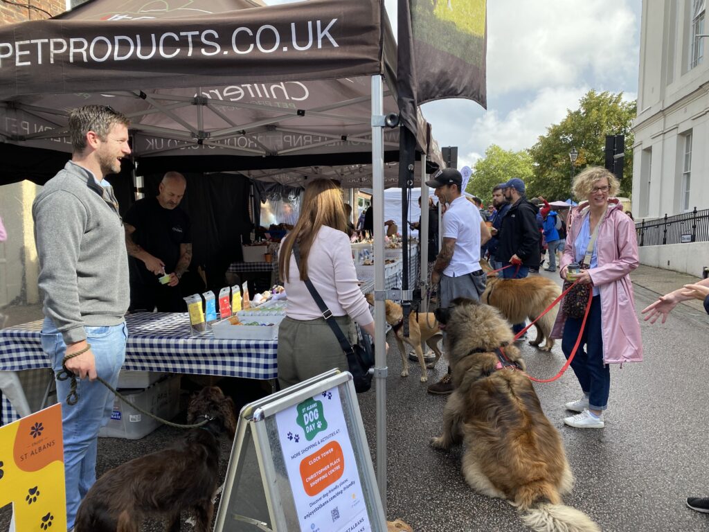 St Albans Dog Day 2024. Photo: St Albans BID