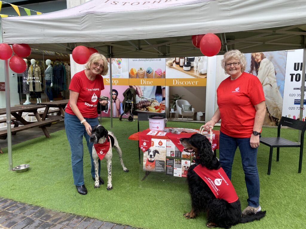 St Albans Dog Day 2024. Photo: St Albans BID