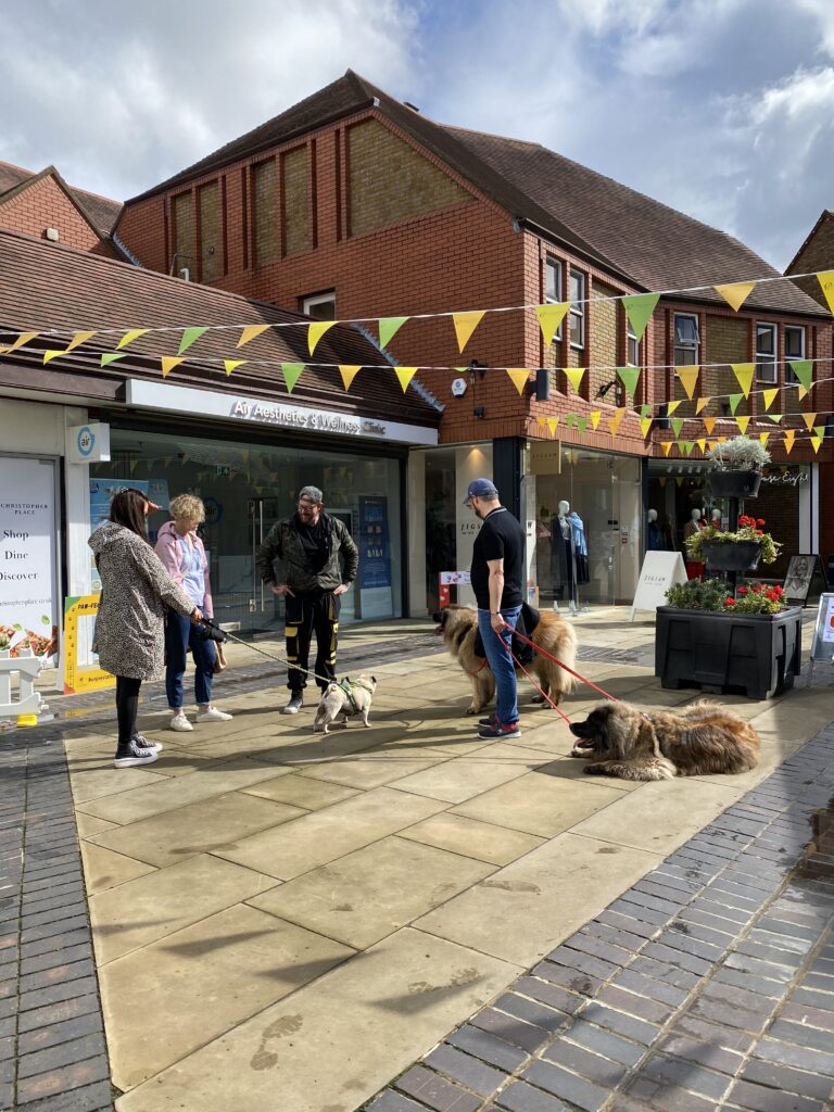 St Albans Dog Day 2024. Photo: St Albans BID