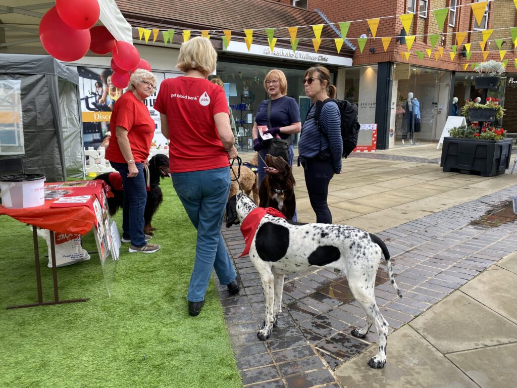 St Albans Dog Day 2024. Photo: St Albans BID