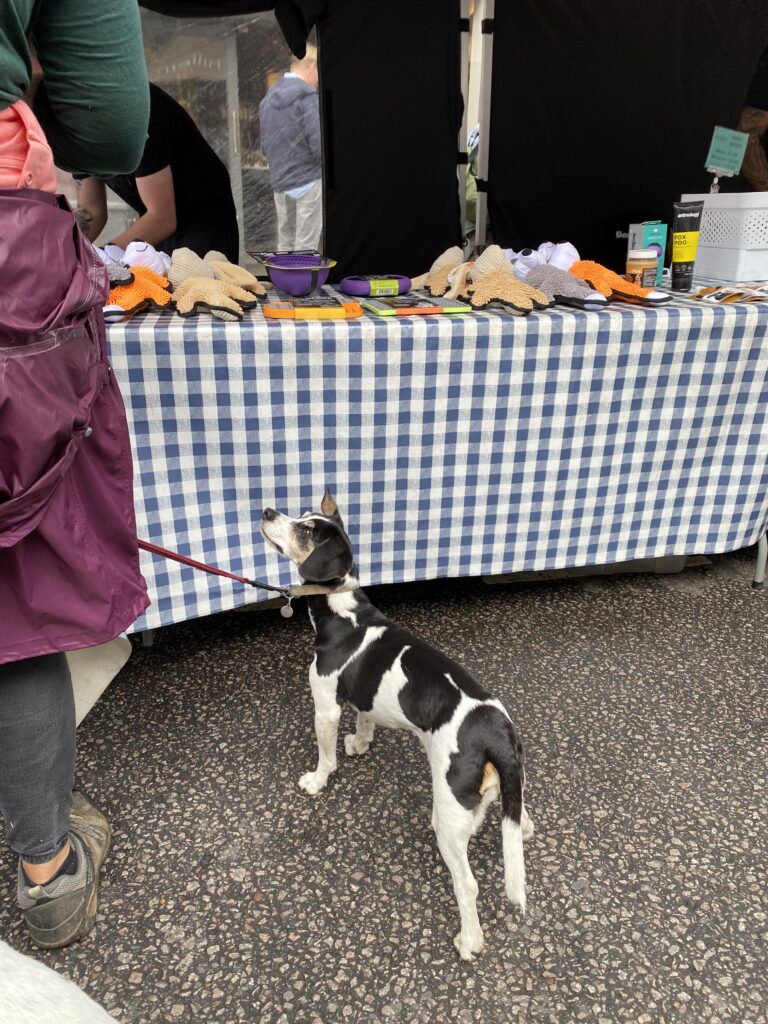 St Albans Dog Day 2024. Photo: St Albans BID