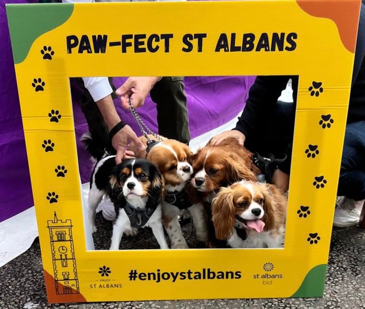 St Albans Dog Day 2024. Photo: St Albans BID