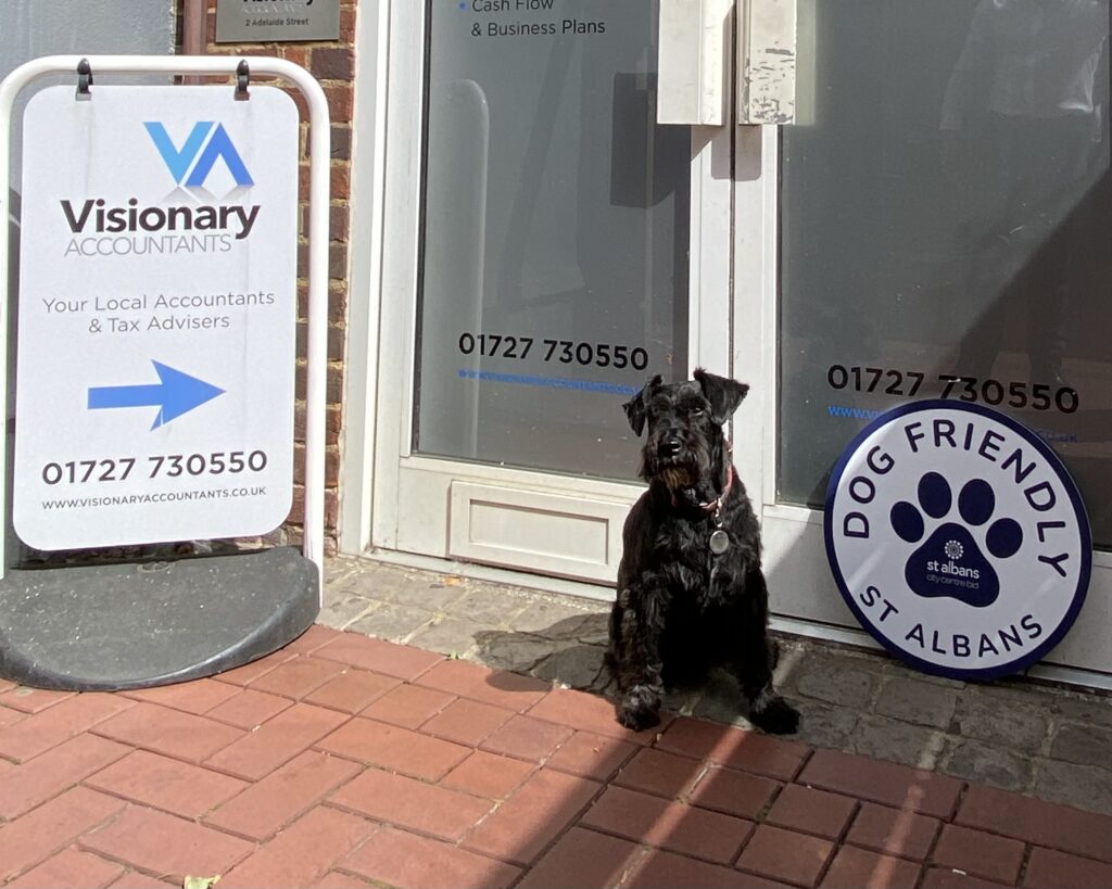 St Albans Dog Day