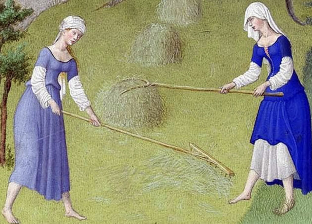 Women harvesting