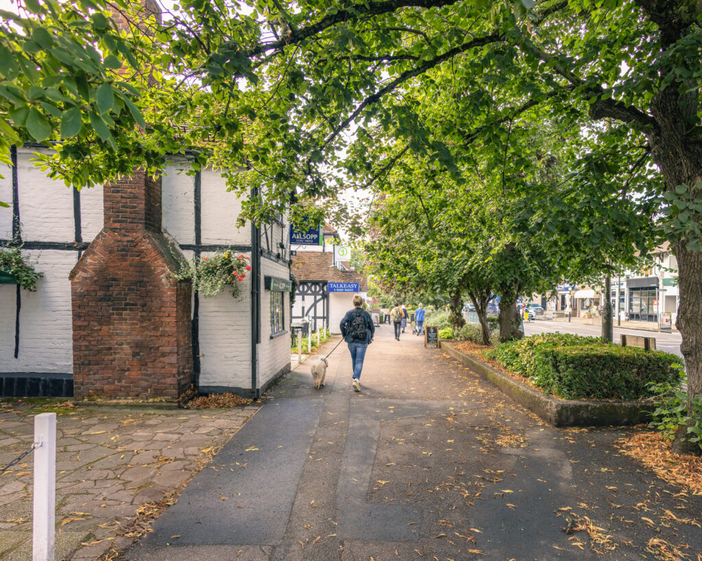 Scenes from Steve Collins' Harpenden calendar.