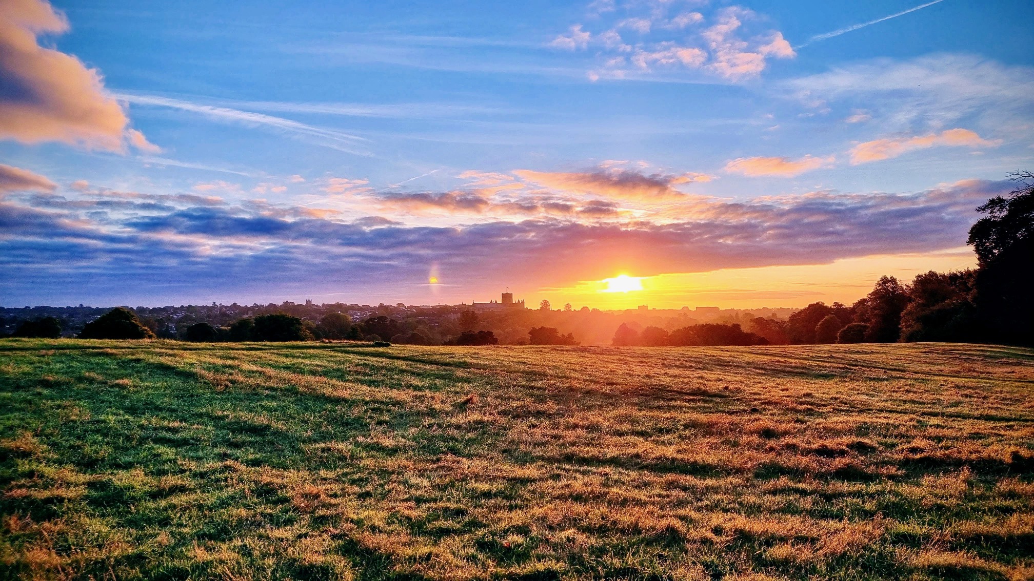 Verulamium Park. Photo: Dr Robert Wareing.