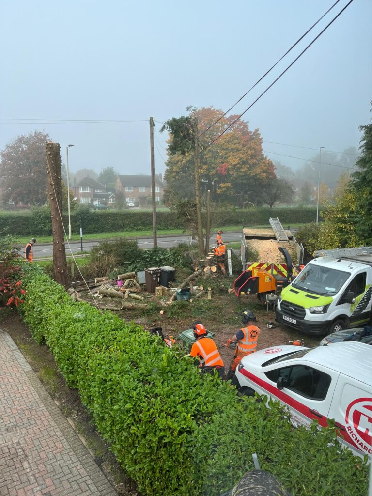 Contractors for Cala Homes clearing the north St Albans site.