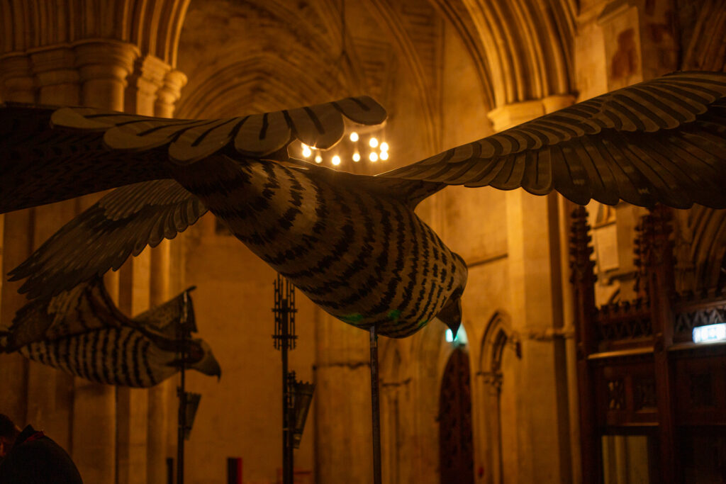 Alban Film Week. Photo: Austin Creative Consultancy