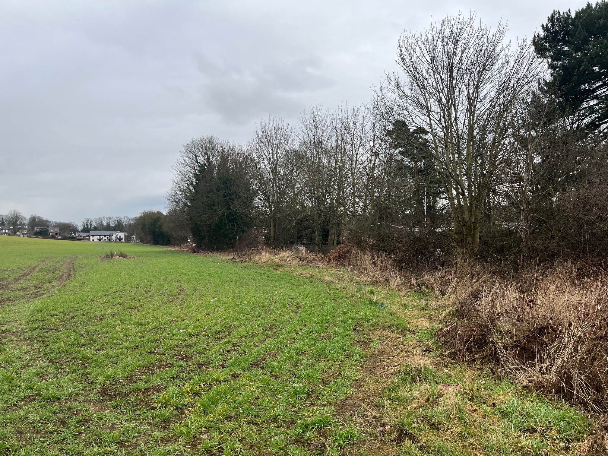 The proposed development site in north-west Harpenden.