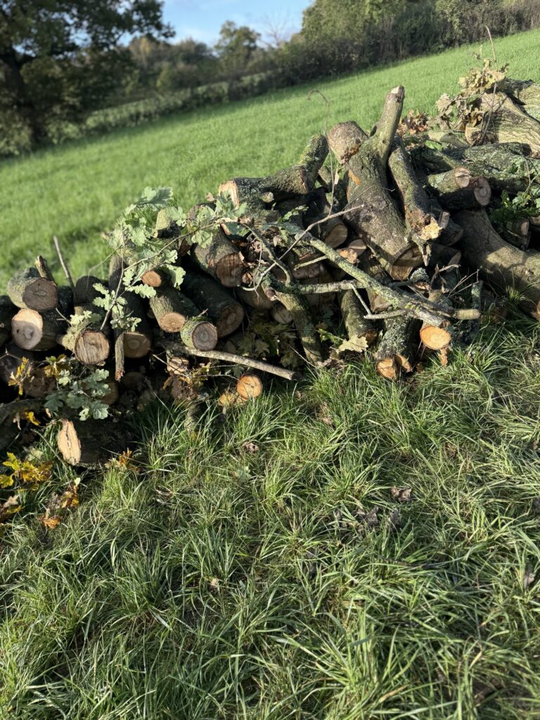 Network Rail has chopped down trees in Harpenden and East Hyde.