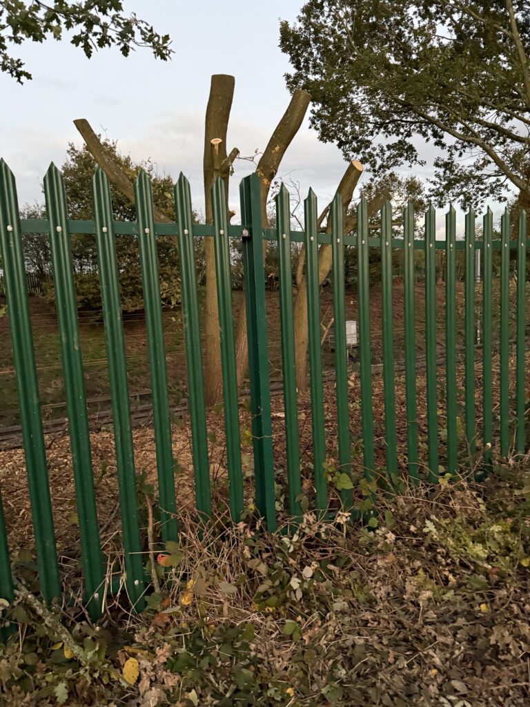 Network Rail has chopped down trees in Harpenden and East Hyde.