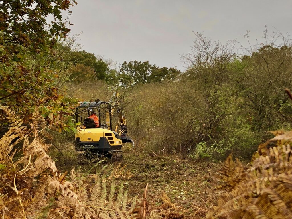 Contractors at work clearing scrubland at Bedmond Lane Wildlife Meadow.