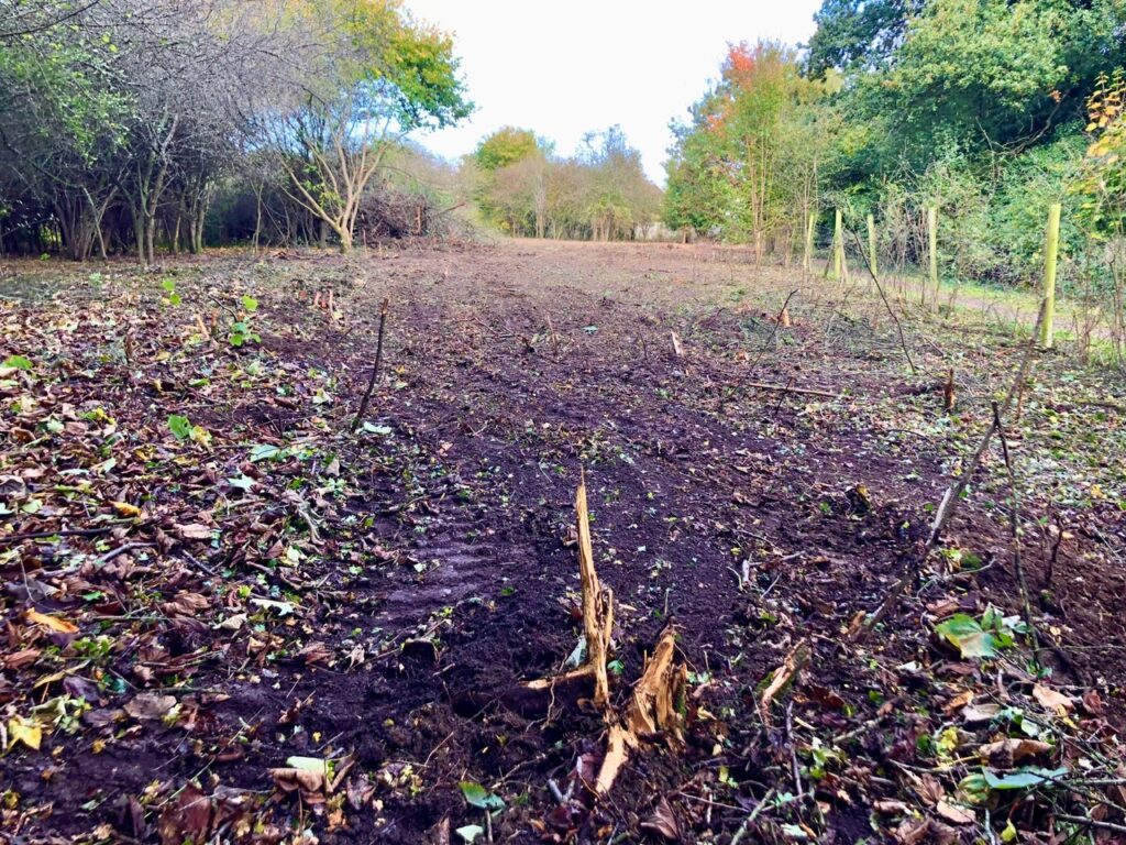 After contractors from Cala Homes carried out clearance work at Bedmond Lane Wildlife Meadow.