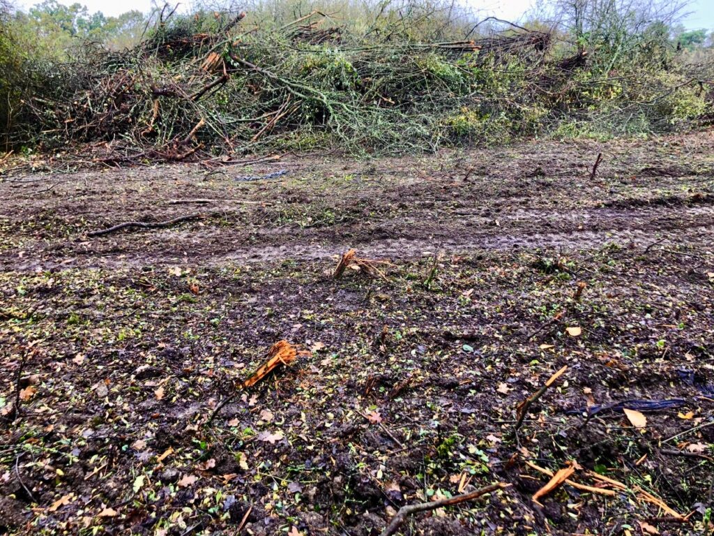 After contractors from Cala Homes carried out clearance work at Bedmond Lane Wildlife Meadow.