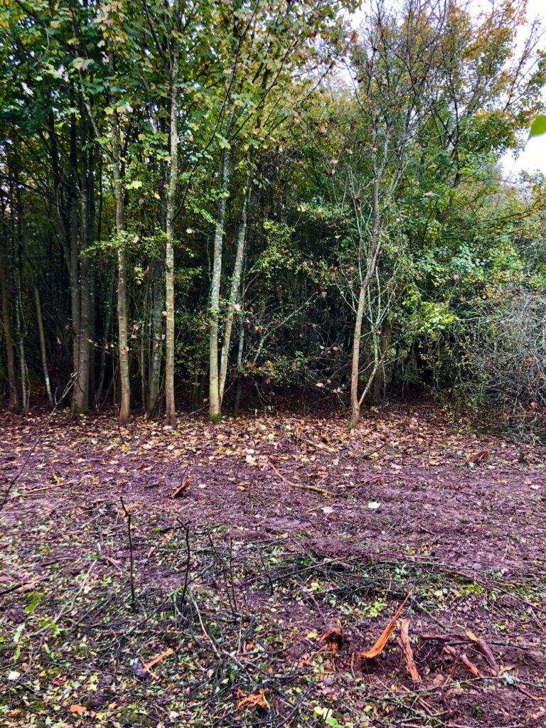 After contractors from Cala Homes carried out clearance work at Bedmond Lane Wildlife Meadow.