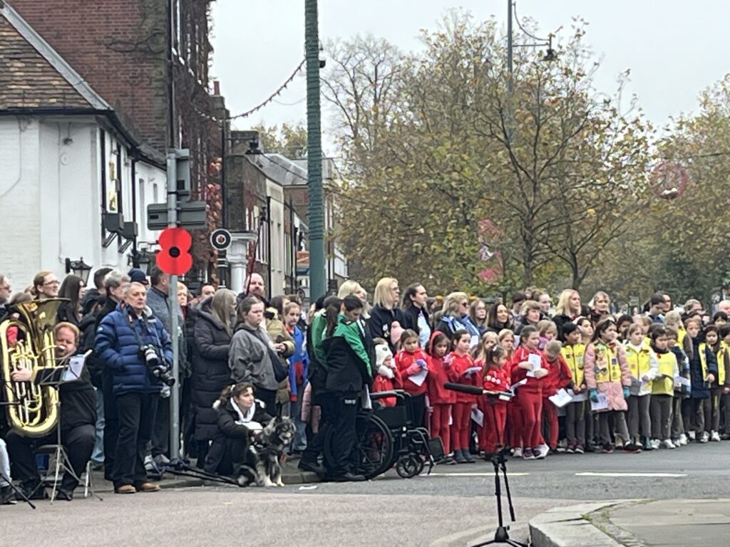 St Albans Remembrance Sunday parade and service. Photo: Matt Adams