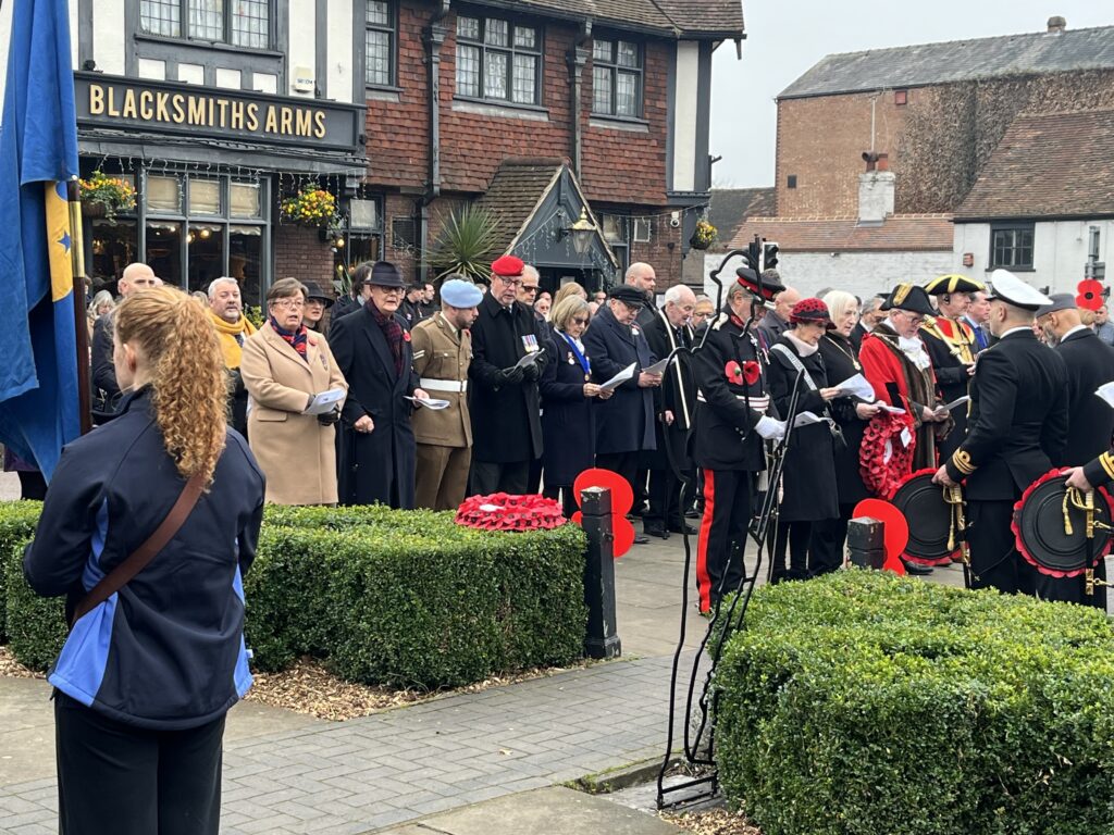 St Albans Remembrance Sunday parade and service. Photo: Matt Adams