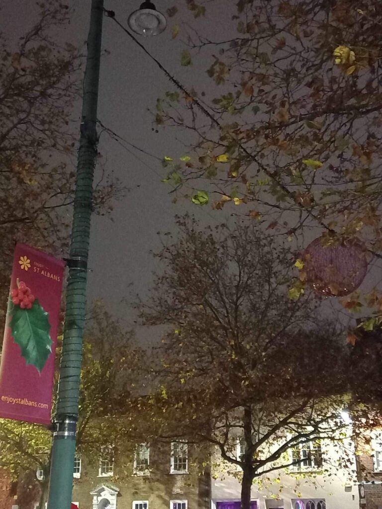 About a third of the street lights in St Peter's Street have not been working for a year.