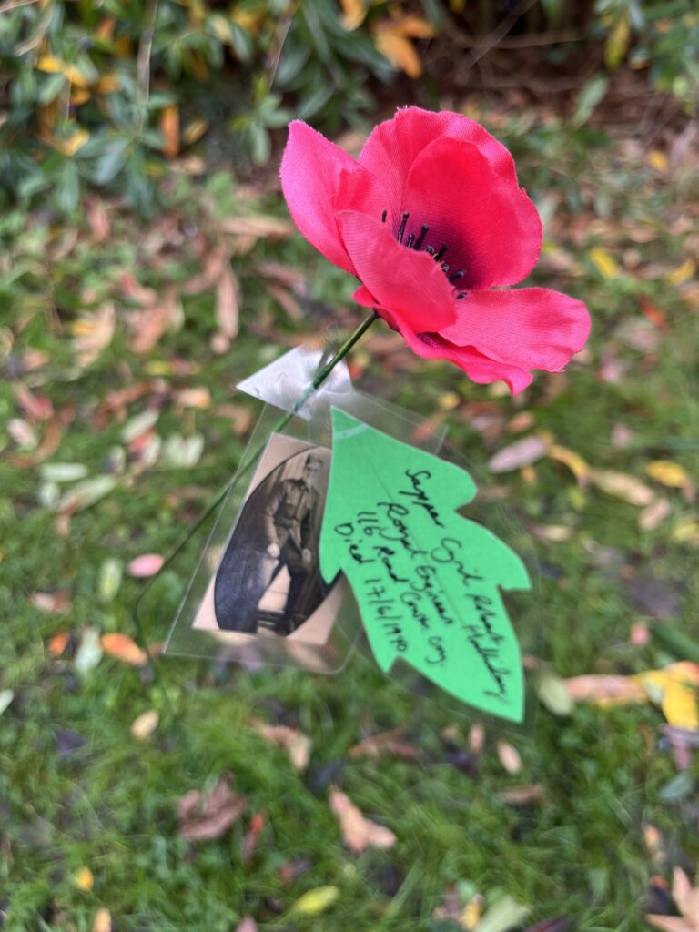 Remembrance Day commemorations at Marlborough Science Academy.