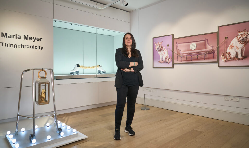 Maria Meyer: Thingchronicity exhibition at St Albans Museum + Gallery. Photo: Simon Jacobs