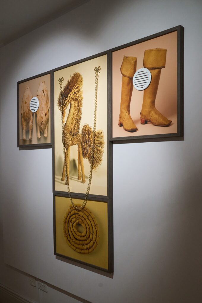 Maria Meyer: Thingchronicity exhibition at St Albans Museum + Gallery. Photo: Simon Jacobs