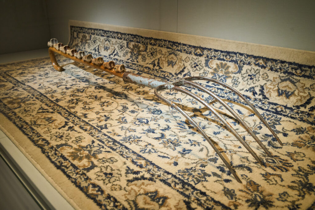 Maria Meyer: Thingchronicity exhibition at St Albans Museum + Gallery. Photo: Simon Jacobs