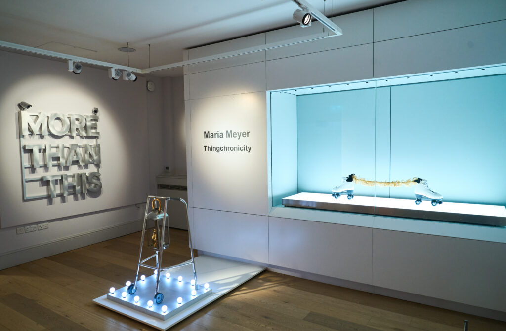Maria Meyer: Thingchronicity exhibition at St Albans Museum + Gallery. Photo: Simon Jacobs