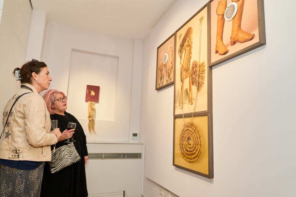 Maria Meyer: Thingchronicity exhibition at St Albans Museum + Gallery. Photo: Simon Jacobs