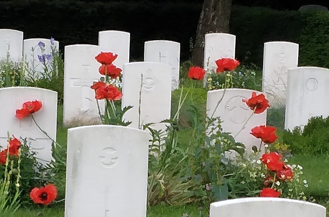 Poppies in the war graves section of Hatfield Road Cemetery.