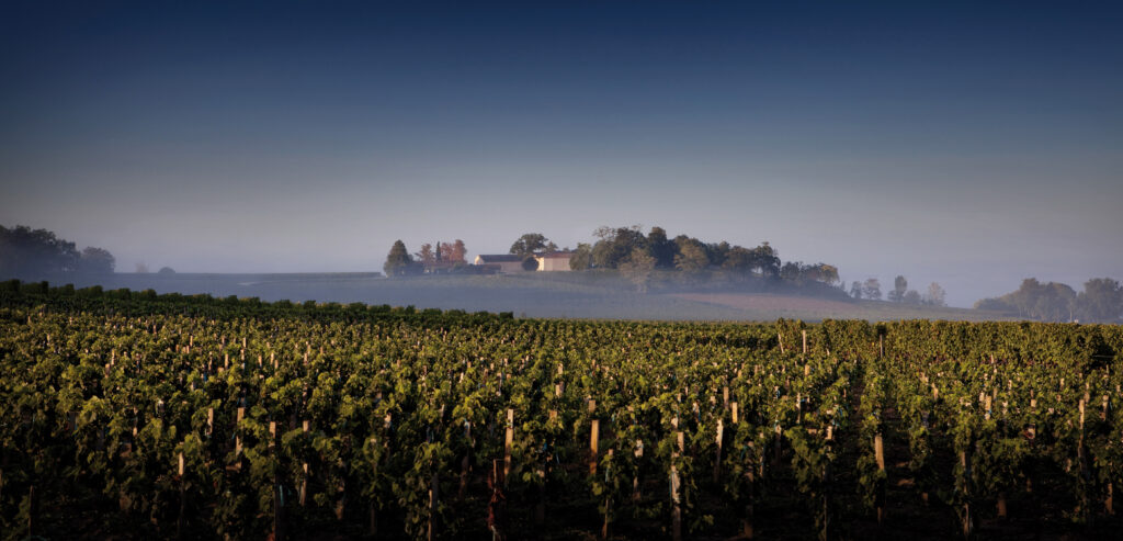 Château Quintus