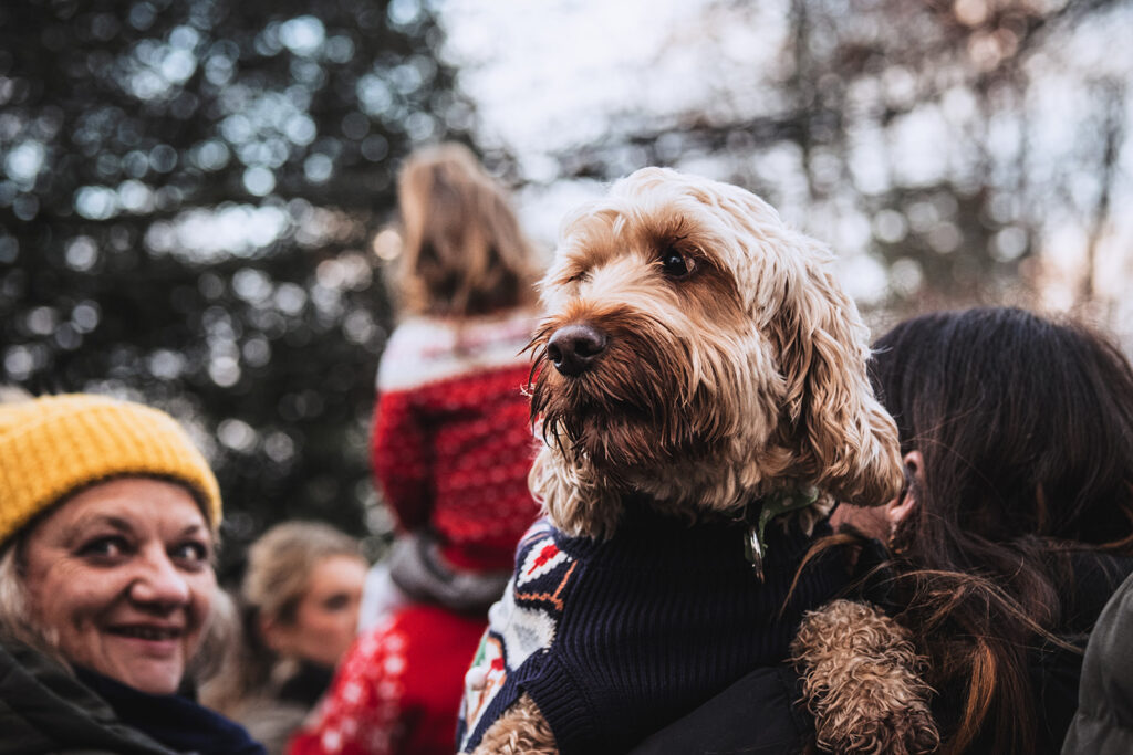 Carols in the Park. Photo: Christopher James Hall