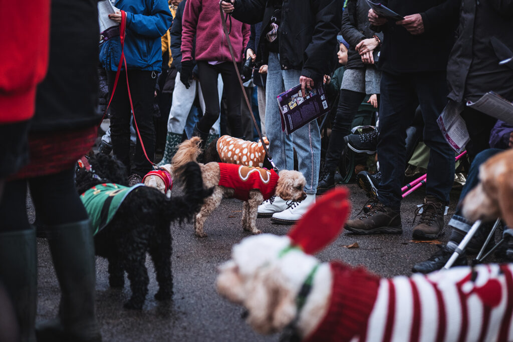 Carols in the Park. Photo: Christopher James Hall