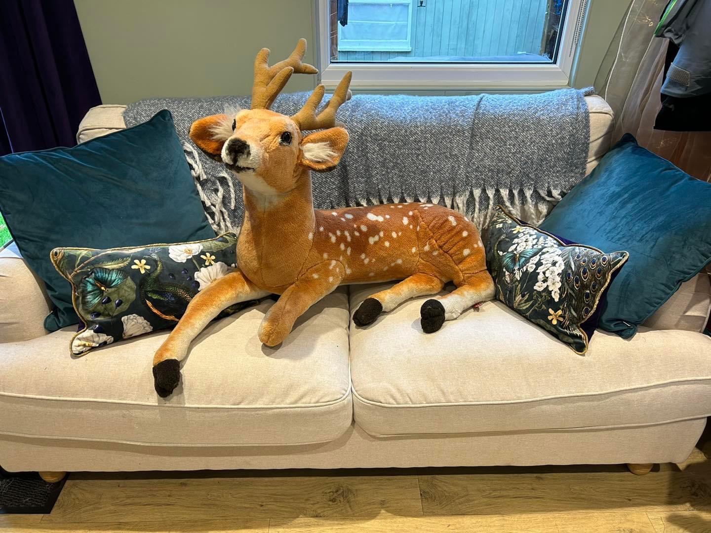 A restored Red the reindeer.