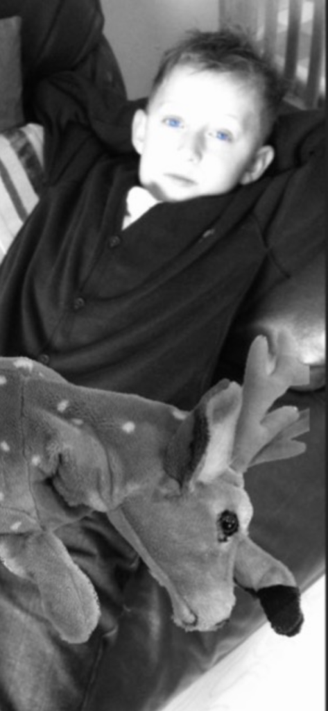 Red was the beloved companion of Bailey Sarwa.