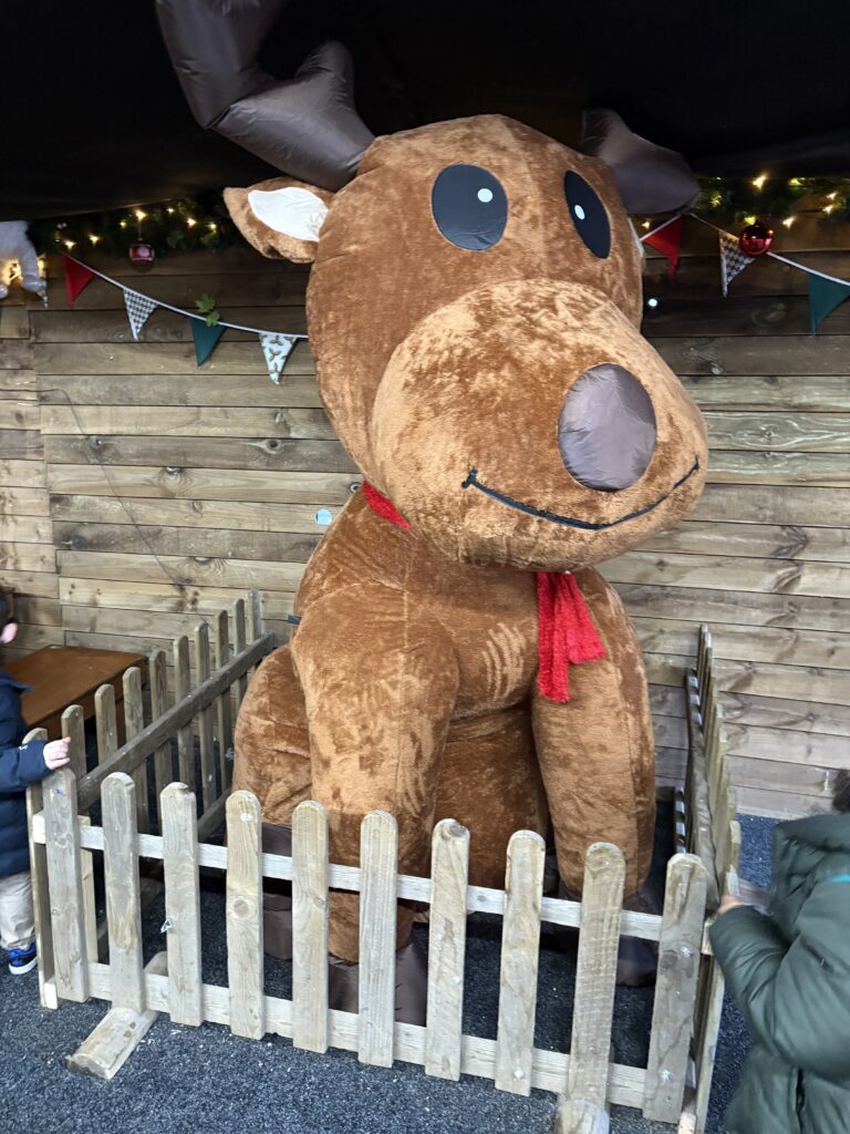 Willows Activity Farm Santa Spectacular
