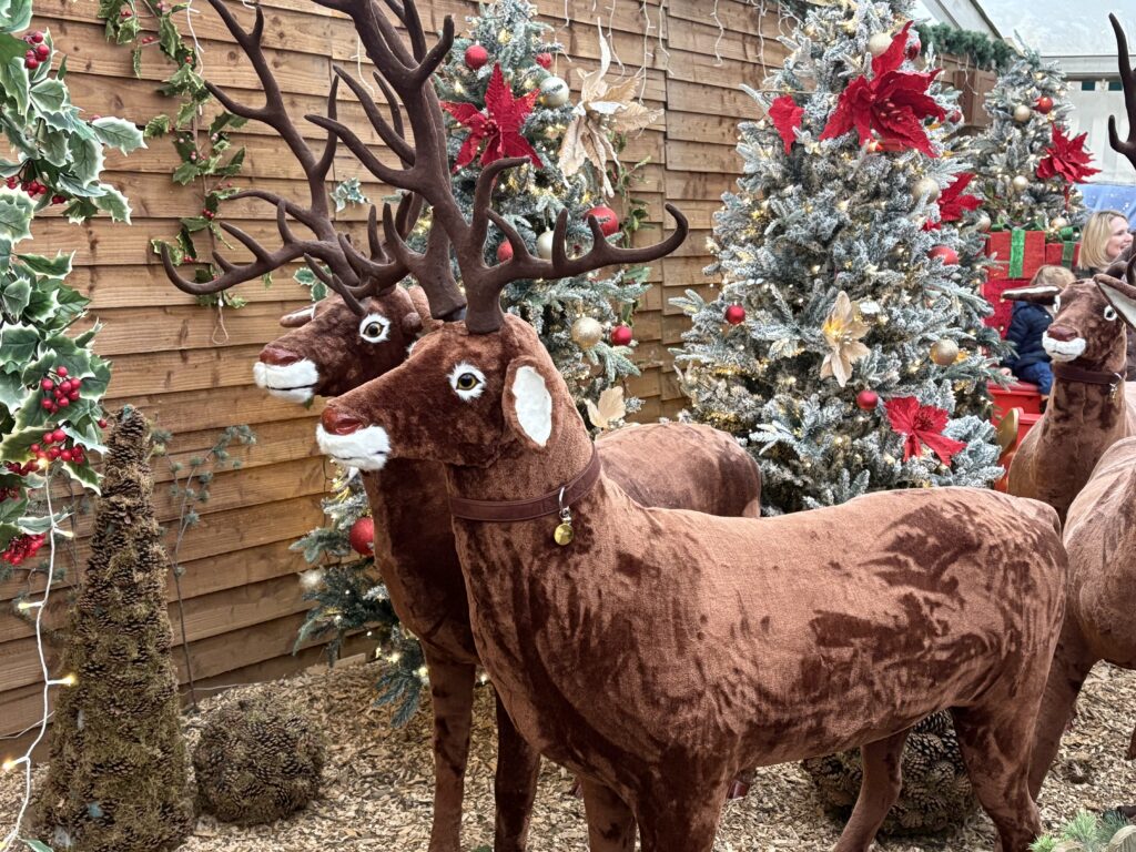 Willows Activity Farm Santa Spectacular