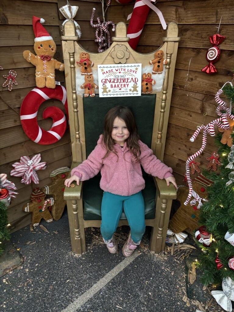 Willows Activity Farm Santa Spectacular