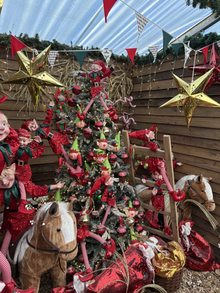 Willows Activity Farm Santa Spectacular