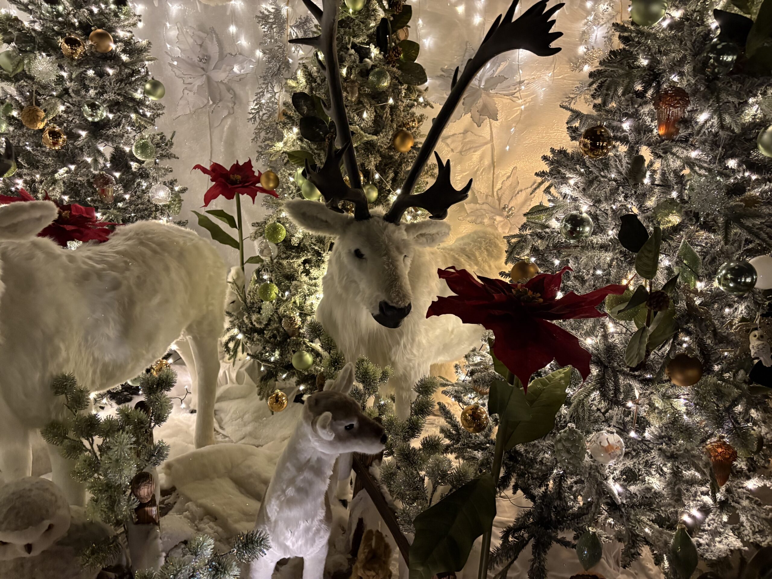 Willows Activity Farm Santa Spectacular