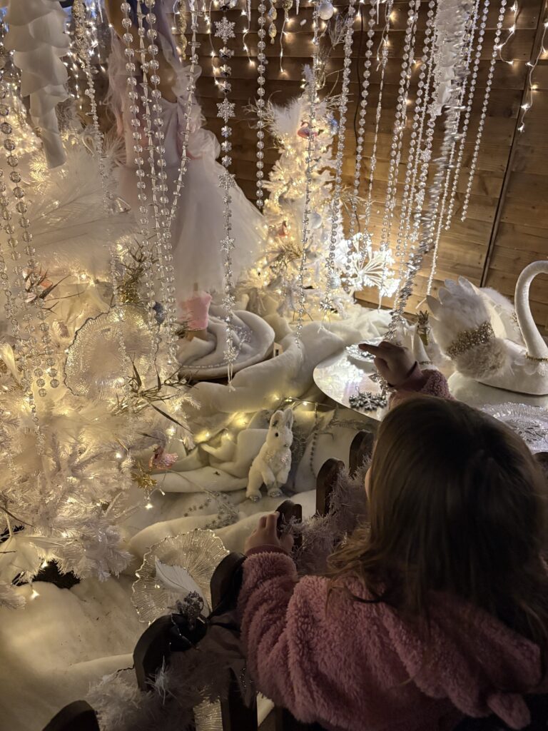 Willows Activity Farm Santa Spectacular