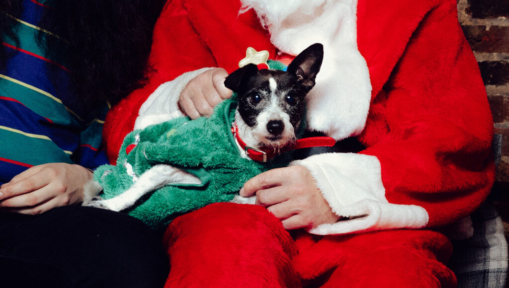 Santa Paws at The Lower Red Lion. Photo: Desneri Photography.